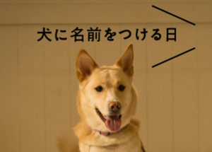 犬に名前をつける日