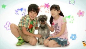 マルモのおきて